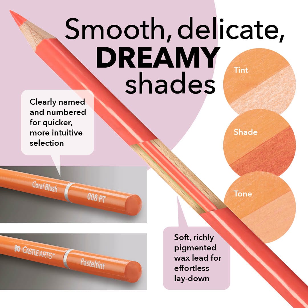 246 kusový prémiový kolonista Zip Case Bundle