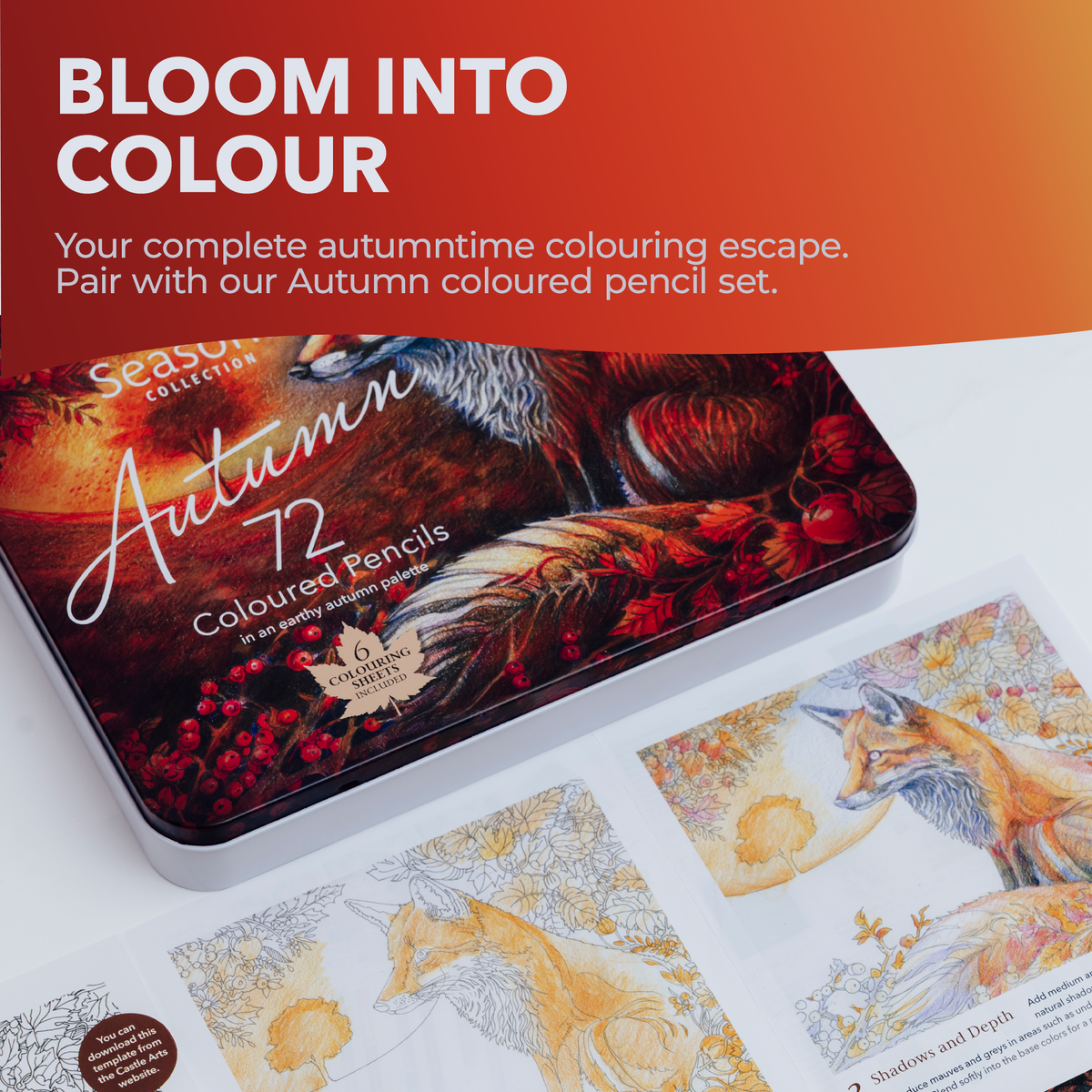 Livre de coloriage de printemps de 72 pages