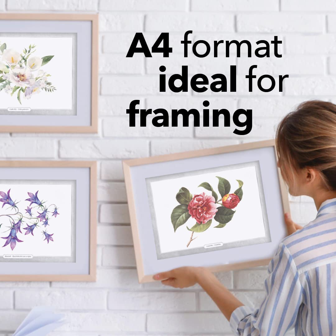 36 strony Piękna kolorowanki kwiaty