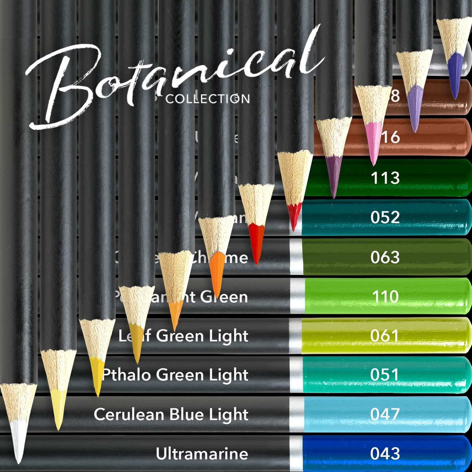 Pacchetto tavolozza di matite colorate botaniche e paesaggi marini da 48 pezzi