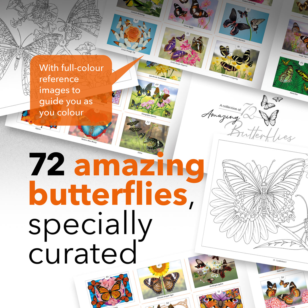 72 Pages Papillons étonnants Livre À Coloriage