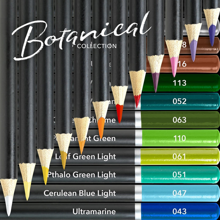 24 Pièces Crayons De Couleur Botaniques Dans Un Étui À Étain D'affichage